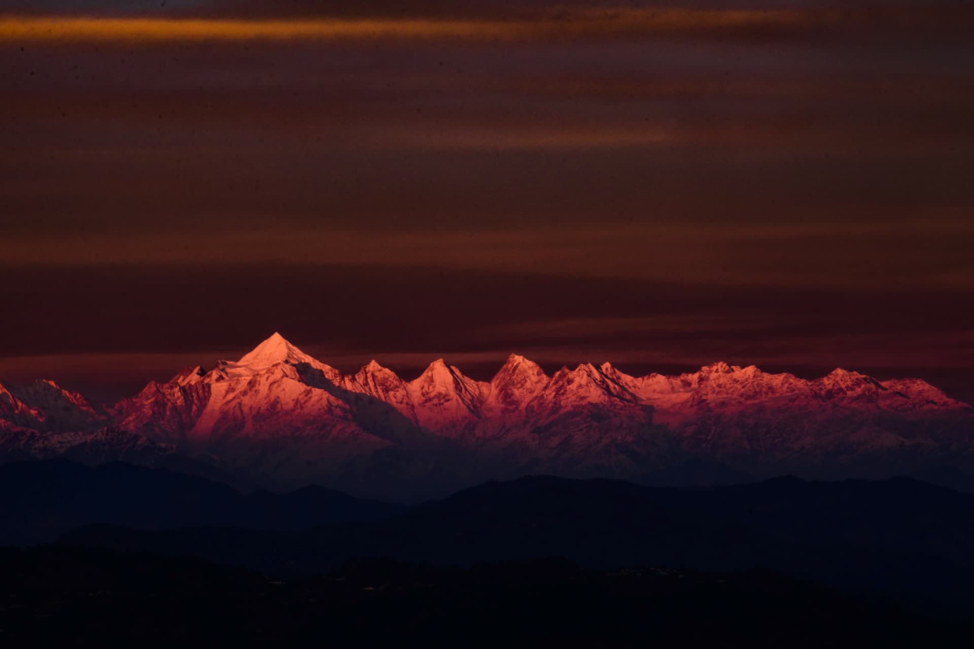 bannerImage